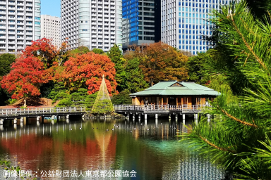 秋の気配にほっと一息♪アクセスしやすい東京都心の紅葉スポット