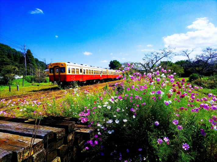 春におすすめの関東の旅行先! 春ならではのお出かけスポット6選