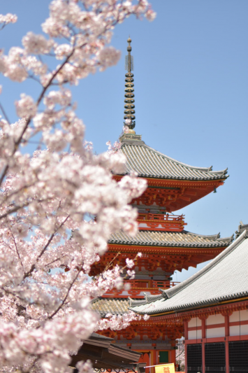 蹴上インクラインー清水寺の旅